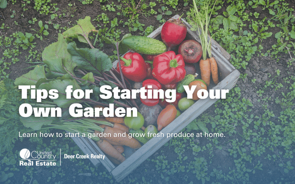 Growing a Garden: Tips for Starting Your Own Garden